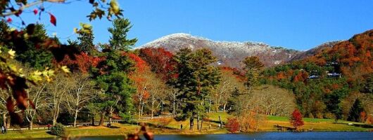 Asheville Sightseeing and Party Tour