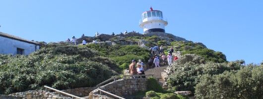 Table Mountain and Cape of Good Hope with Penguins 