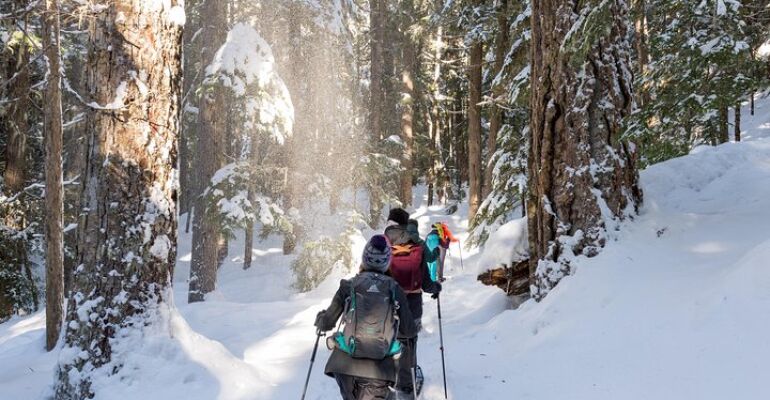 Whistler Backcountry Snowshoe Adventure Tour