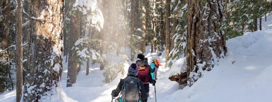 Snowshoe Tours