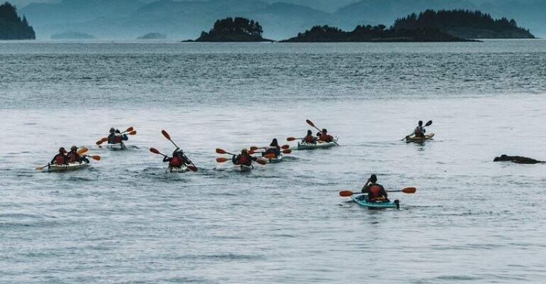 Telegraph Cove Scenic Kayaking Adventure