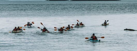 Full Day Kayaking Adventure on Vancouver Island 