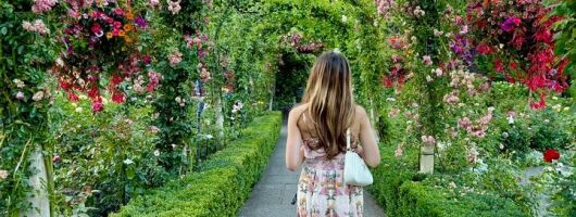 Wheelchair Accessible Butchart Gardens and City Tour Victoria BC!