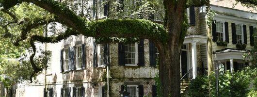 Discover Lesser Known Stories on the Hidden Savannah Walking Tour