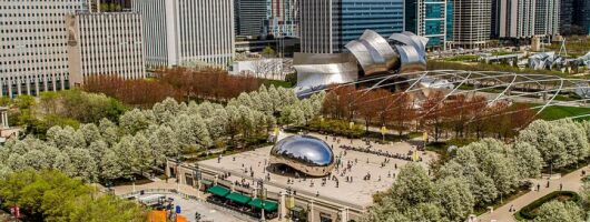 Self-Guided Chicago Loop Tour Explore the City at Your Own Pace