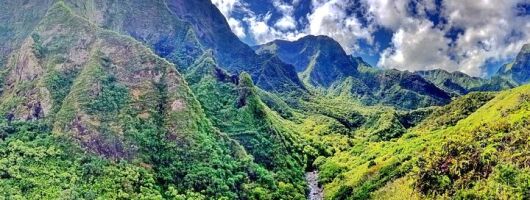 Iao Valley Nature Walk