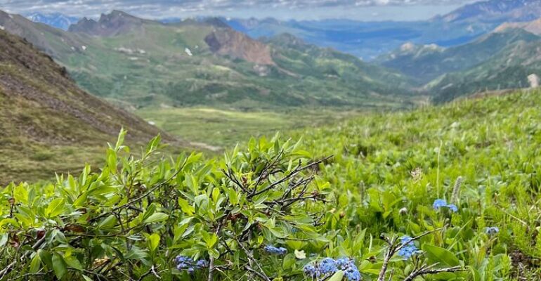 Denali National Park Alpine Hiking Tour
