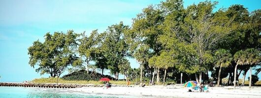 Destination and or Special Occasion Cruise