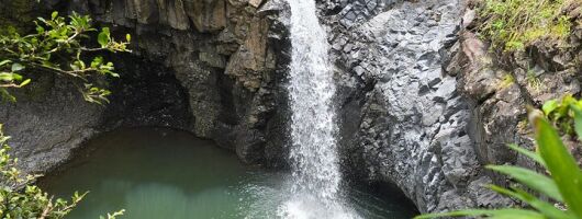 Private Road to Hana Tour with Pickup-Ultimate Package, Backside
