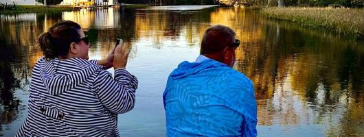 Rainbow River Sightseeing and Snorkel Cruise