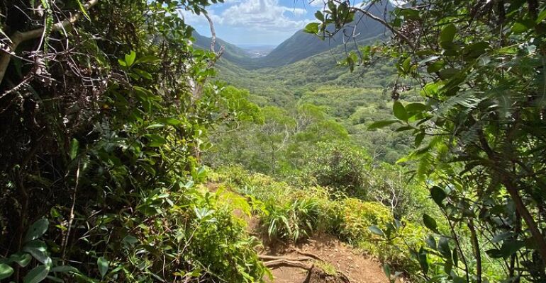 Maui Hidden Gem Hiking Adventure