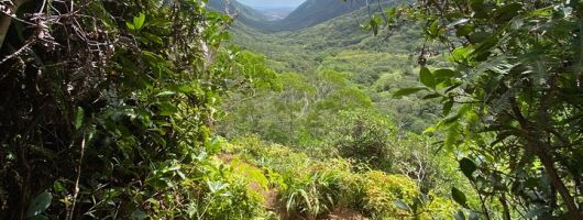Hiking Maui Hawai’i 