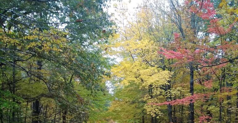 Acadia National Park Scenic Sunrise Tour