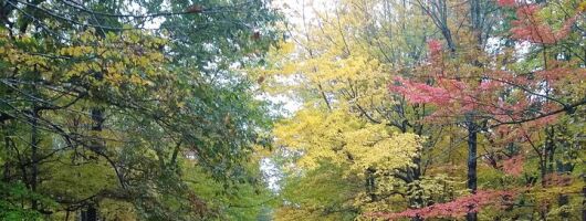 Autumn in Acadia National Park Private Leaf Peeper Driving Tour 