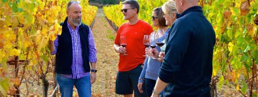 Wine Adventures in Napa Valley