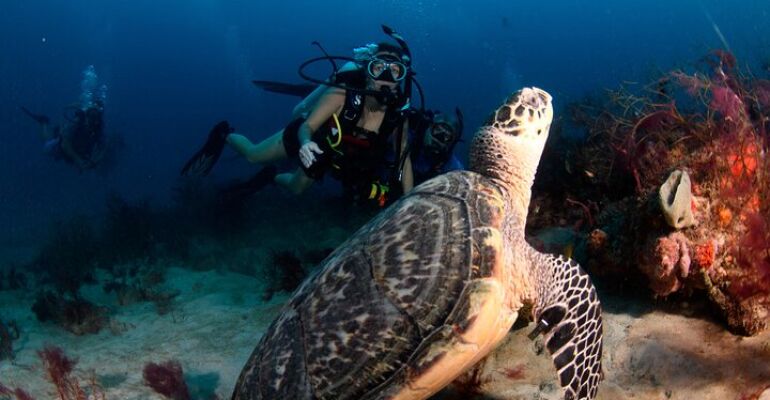 West Palm Beach Two-Tank Dive Adventure