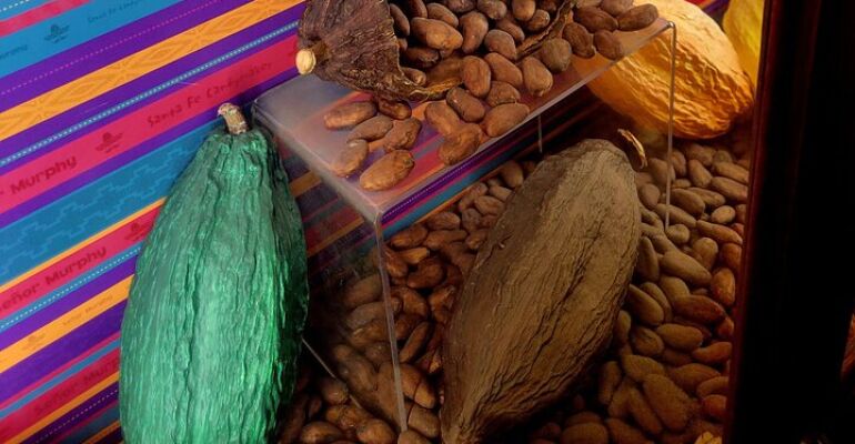 Santa Fe Chocolate History and Tasting Tour