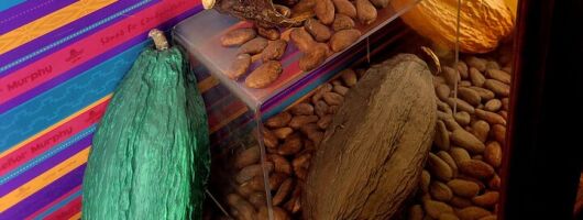Santa Fe Chocolate Tasting and History Exploration Tour 