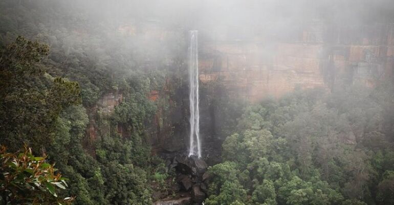 Southern NSW Full-Day Wine and Wildlife Tour