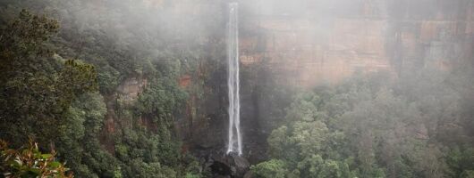 From Sydney Private Tour of Waterfalls Wineries and Wildlife