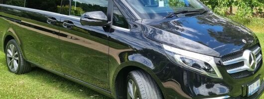 McLaren Vale Small Shared Tour with Wine Tasting and Lunch 