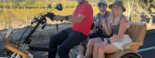 eTukTuk Adventure from Shirvington Wines - McLaren Vale