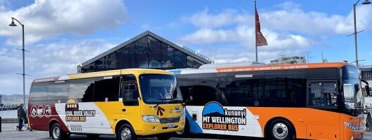Richmond Village And Kunanyi and Mt Wellington Combo Tour