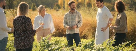 Premium Hunter Wine Tour with Degustation Lunch and Paired Wines 