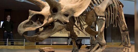 Exclusive Drumheller Private Tour from Calgary