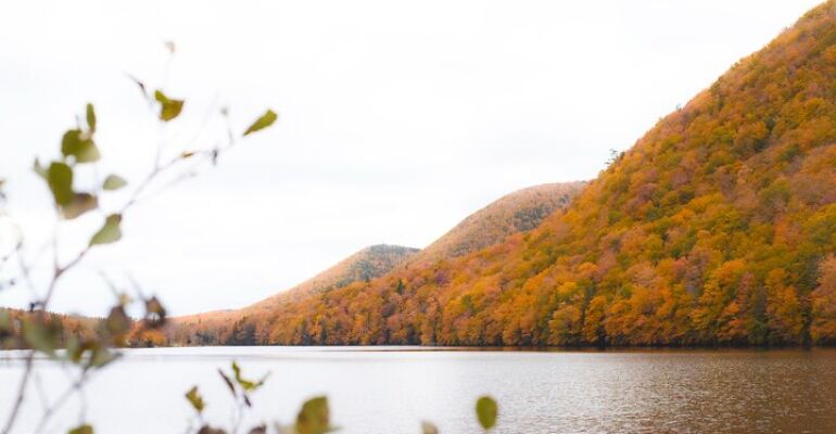 Sydney Cabot Trail Scenic Tour Experience