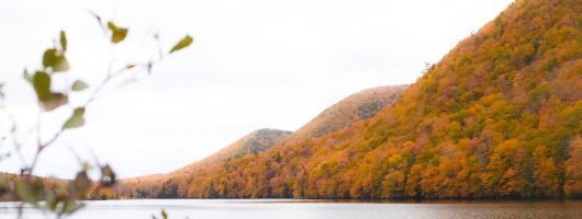 Ingonish and Keltic Lodge 6 Hours Cabot Trail Tour 