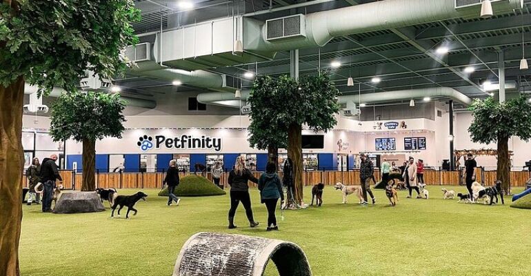 Calgary Indoor Dog Park Adventure Experience