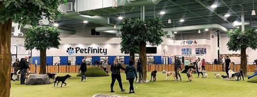 Petfinity Indoor Dog Park in Calgary