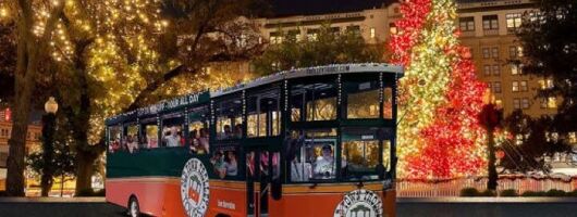 San Antonio Holiday Sights & Festive Nights Tour