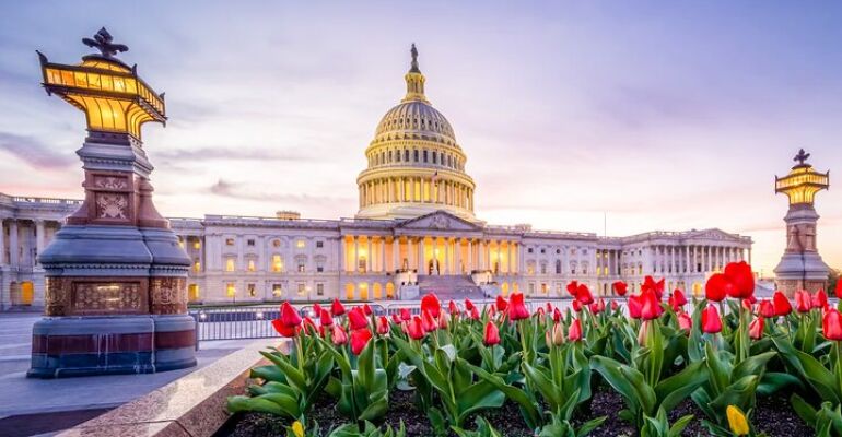 Washington D.C. Silver Screen Adventure Tour