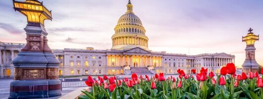 Iconic Film and Movie Locations Half Day Tour in Washington D.C.