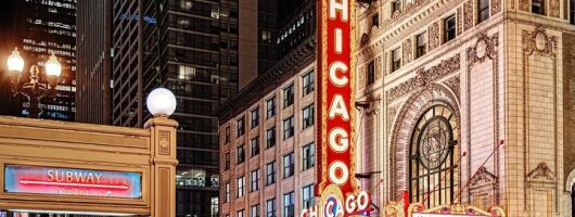 Iconic Action Film and Movie Locations 1 Day Tour in Chicago