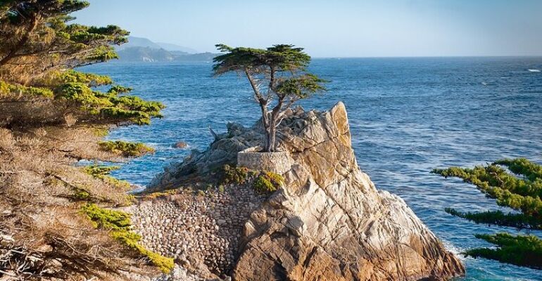 San Francisco Coastal Highway Scenic Tour