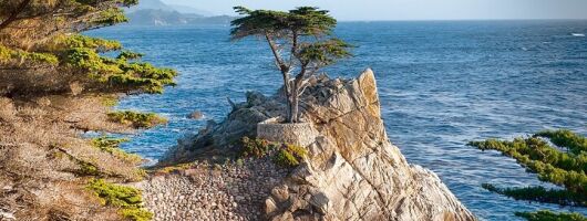 Monterey Peninsula and Carmel by the Sea Small Group Tour