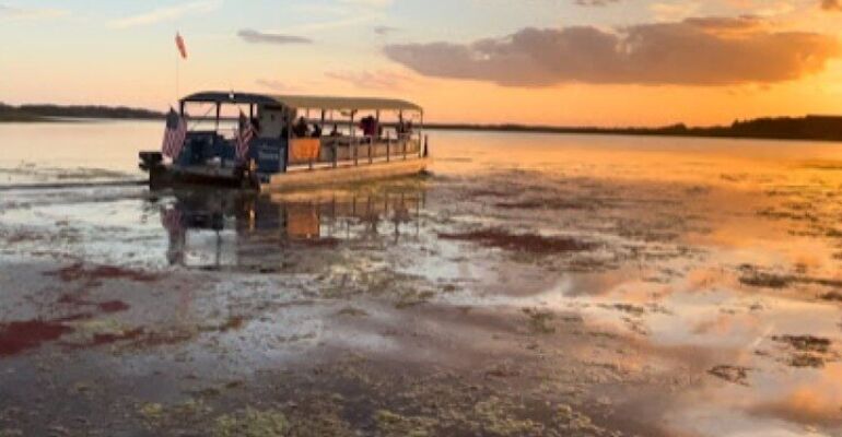 Kissimmee Eco Adventure Nature Cruise Experience