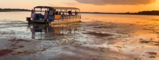 Eco Adventure Scenic Wildlife Boat Cruise