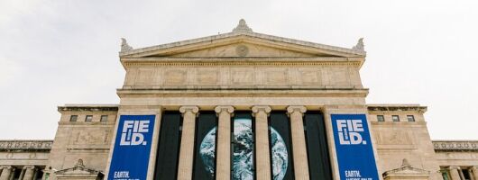 Field Museum Basic Admission Ticket with Tasting Experience