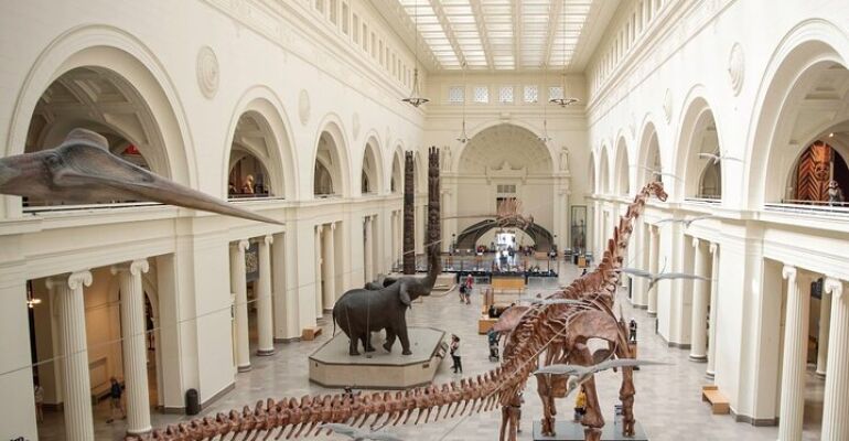Chicago Field Museum Admission and VR Experience