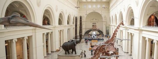 Field Museum Basic Admission Ticket Plus VR Experience