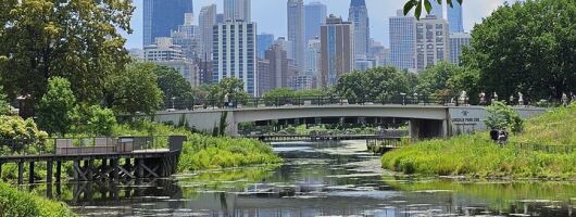 Lincoln Park Nature Museum and Zoo Public Walking Tour