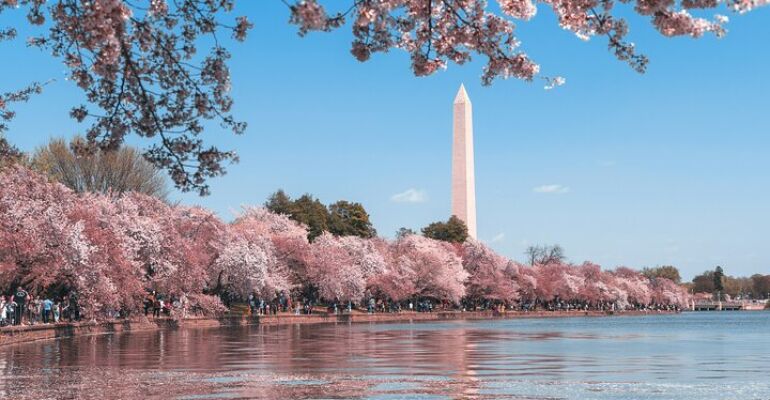 Washington, D.C. National Mall Highlights Tour