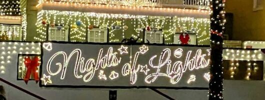 Nights of Lights Private Electric Golfcart Tour up to 7 People
