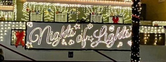 Private Electric Golf Cart Nights of Lights Tour up to 12 people