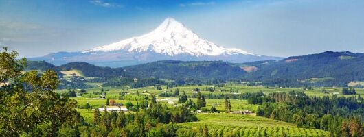Mount Hood Loop Scenic Drive Self Guided Audio Tour