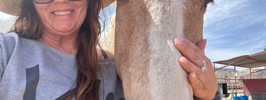 Sacred Horse Medicine Journey near Sedona